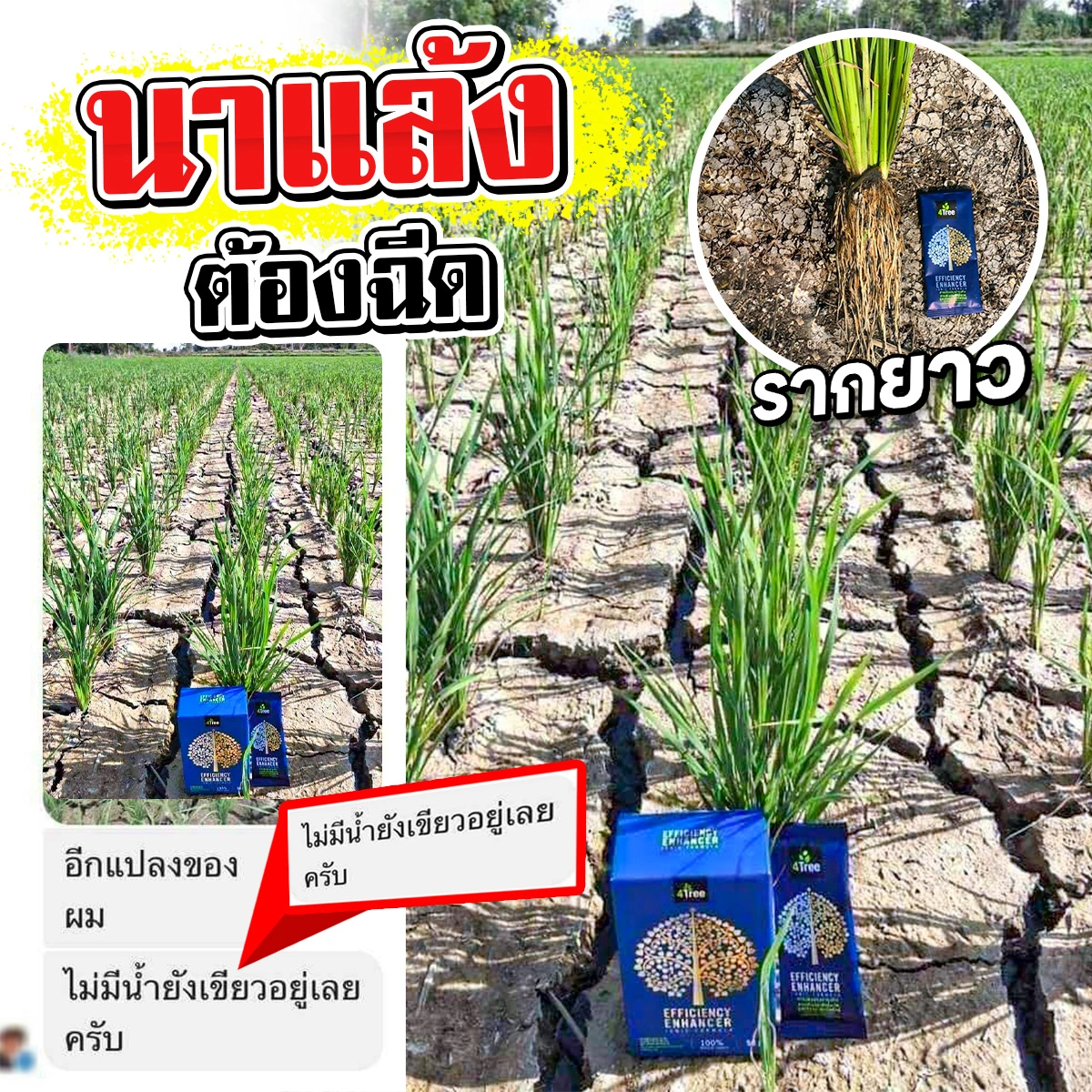 4Tree นาแล้งใช้โฟร์ทรีรอดหมด