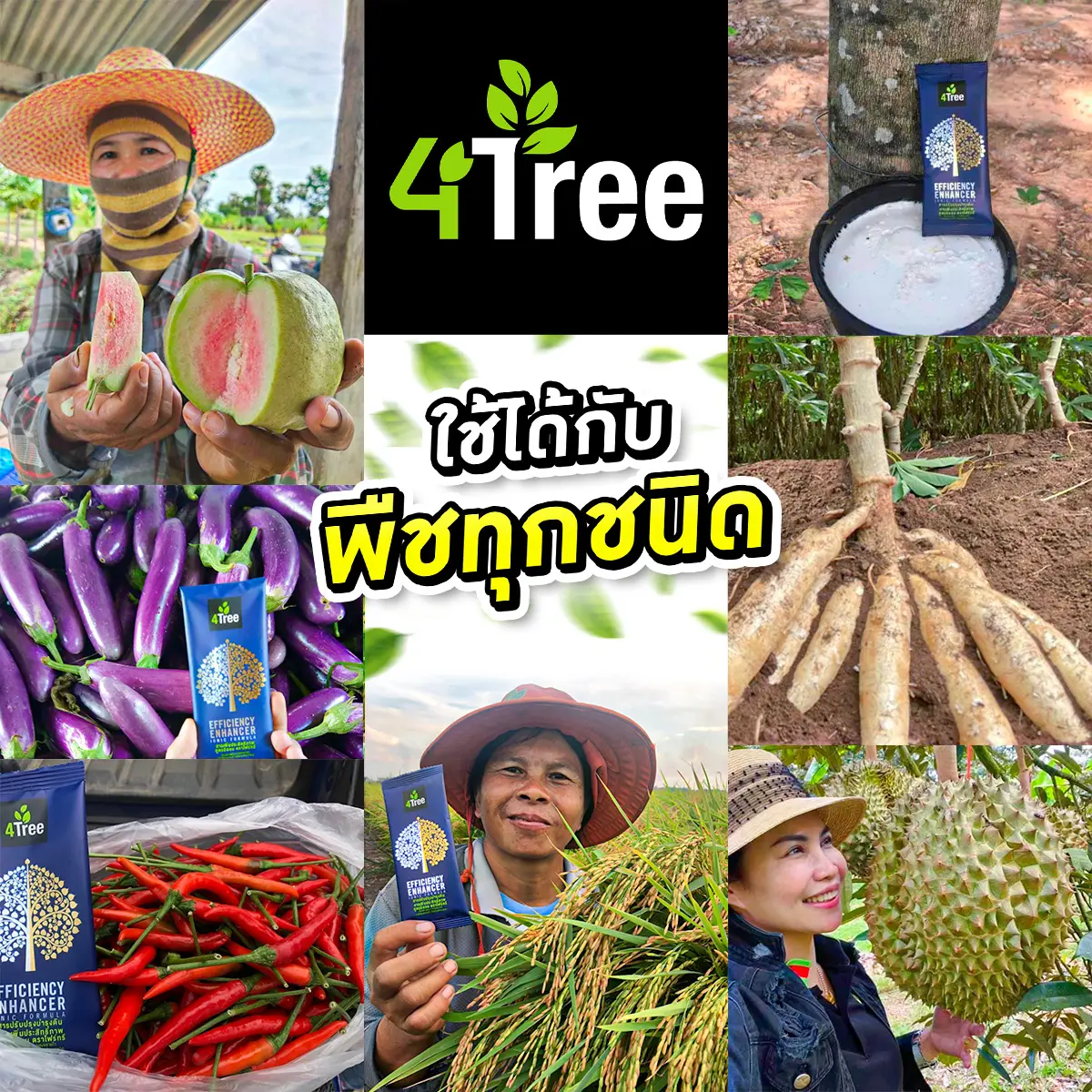 4Tree-โฟร์ทรีใช้ได้กับพืชทุกชนิด